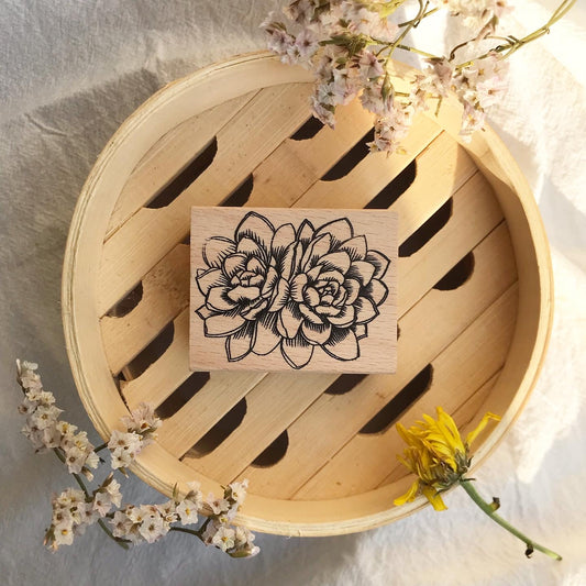 Malaysian Rubber Stamps - Succulent