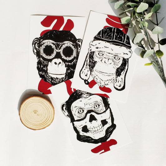 HERMANOS Postcard Pack