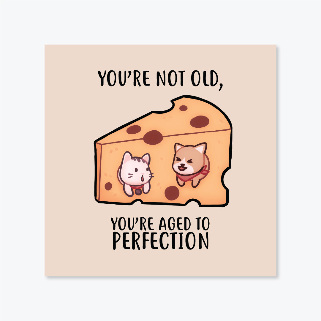 Salt x Paper Greeting Card - You're Not Old