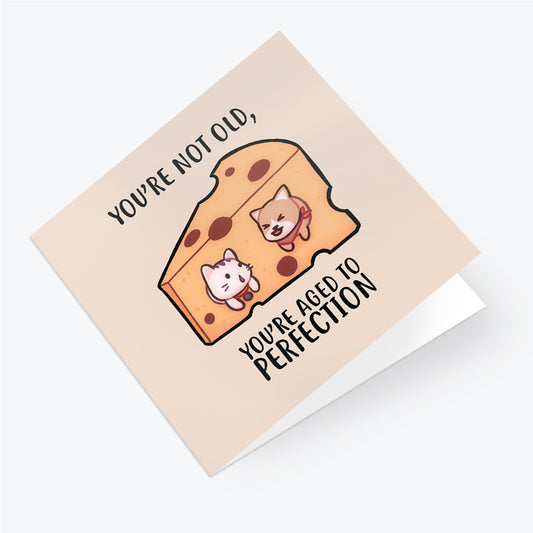 Salt x Paper Greeting Card - You're Not Old