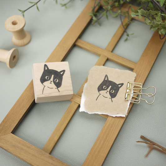 Curious Cat Rubber Stamp