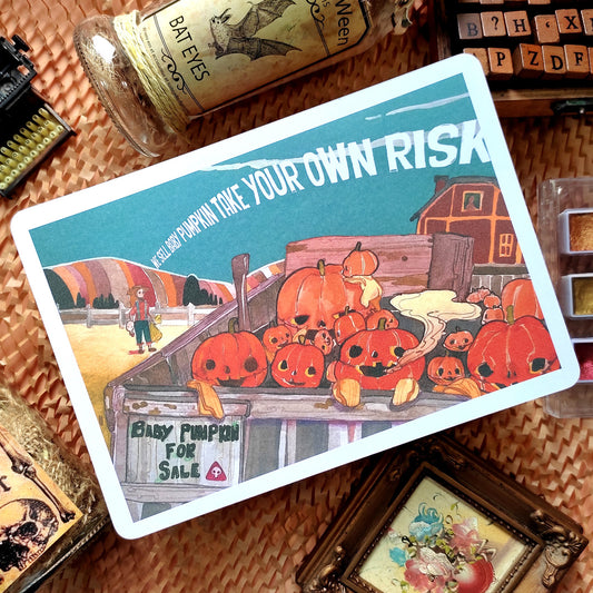 lanut_Baby Pumpkin for sale Halloween