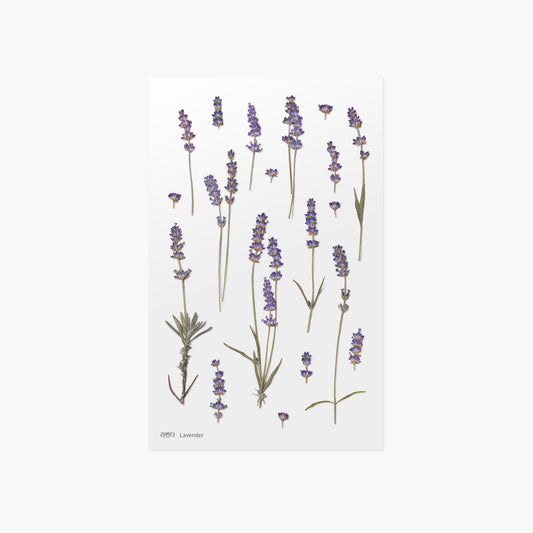 Appree Pressed Flower Sticker | Lavender