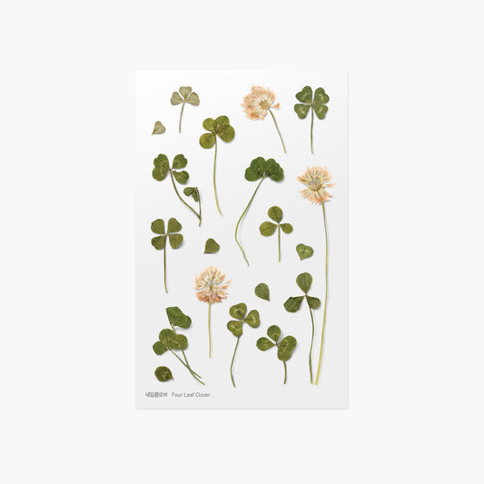 Appree Pressed Flower Sticker | Four Leaf Clover