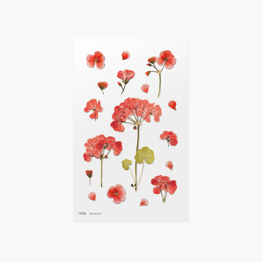 Appree Pressed Flower Sticker | Geranium